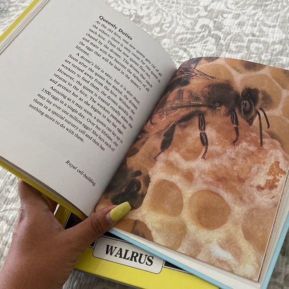 Getting To Know Natures Children Animal Books Hard Cover Bundle - Picture 7 of 7